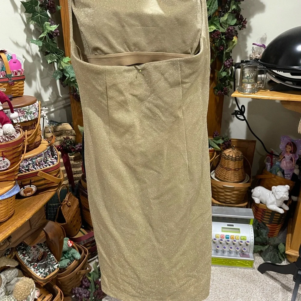 Express Dress - Picture 3 of 5